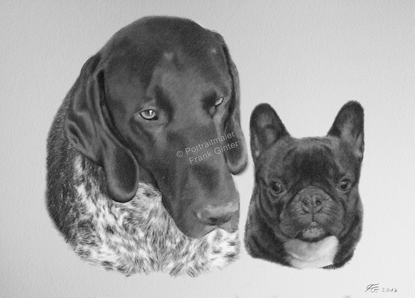 Bleistiftzeichnungen, Tierportraits Hunde, Bleistiftzeichnung, Tierzeichnungen, Hunde Zeichner Bleistift