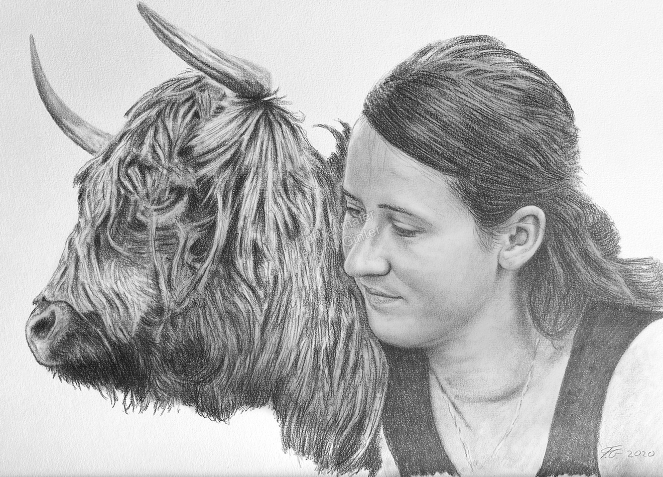Tierporträts gezeichnet, eine Kuh mit einer Frau