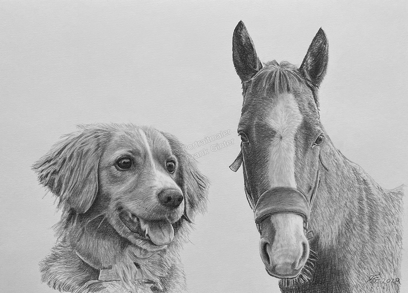 Tierzeichnung Pferde Hunde, Pferdezeichnung, Hundezeichnung, Tierportraits