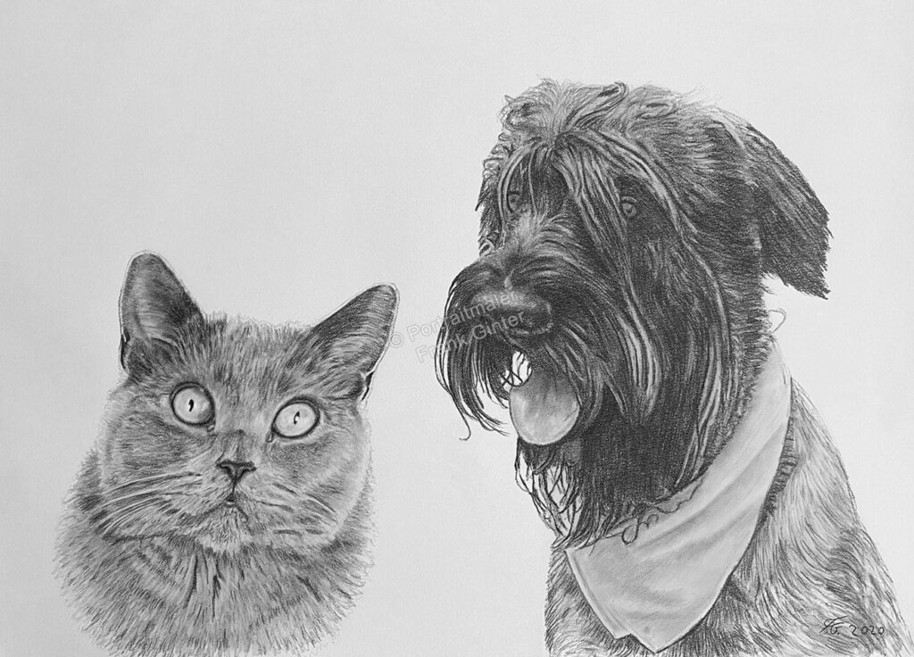Tierzeichnung Katzen Hunde, Katzenzeichnung, Hundezeichnung, Tierportraits